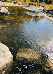 Centro de conservación del valle de Rouge