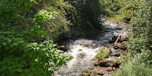 Centro de conservación del valle de Rouge