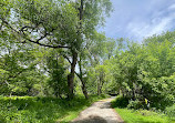 Lower Highland Creek Park