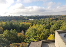 Universidad de Toronto Scarborough