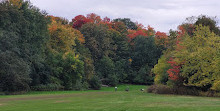 University of Toronto Scarborough