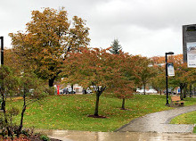 University of Toronto Scarborough