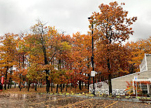 University of Toronto Scarborough