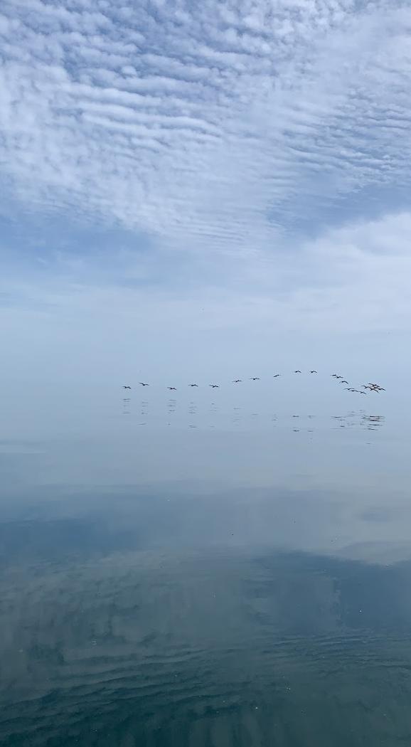 Bluffers Park Public Boat Launch