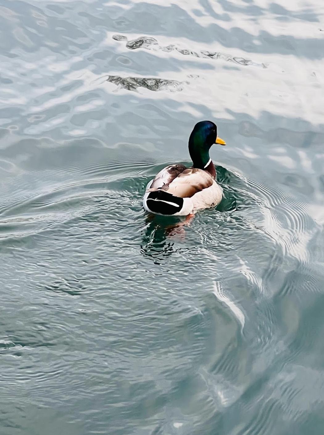 Bluffers Park Public Boat Launch