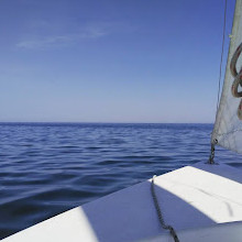 Scarborough Bluffs Sailing Club