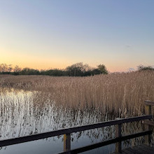 Rainton Meadows Nature Reserve