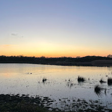 Rainton Meadows Nature Reserve