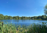 Rainton Meadows Nature Reserve