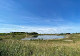 Rainton Meadows Nature Reserve