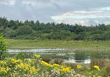 Rainton Meadows Nature Reserve