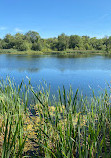 Rainton Meadows Nature Reserve