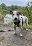 Rainton Meadows Nature Reserve