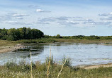 Rainton Meadows Nature Reserve