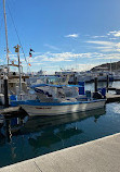 IGY Marina Cabo San Lucas