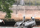 Riverwalk Tampa Florida