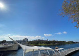 Riverwalk Tampa Florida