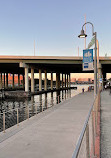 Riverwalk Tampa Florida