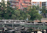 Riverwalk Tampa Florida