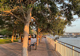 Riverwalk Tampa Florida