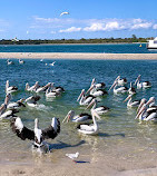 Ian Dipple Lagoon