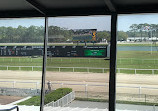 Tampa Bay Downs