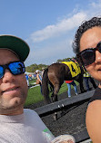 Tampa Bay Downs