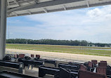 Tampa Bay Downs