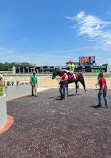 Tampa Bay Downs