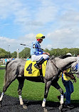 Tampa Bay Downs