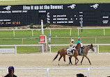 Tampa Bay Downs