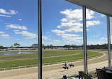 The Skye Terrace at Tampa Bay Downs