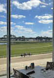 The Skye Terrace at Tampa Bay Downs