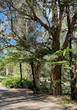 Gold Coast Regional Botanic Gardens