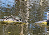 Gold Coast Regional Botanic Gardens