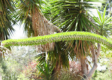 Gold Coast Regional Botanic Gardens