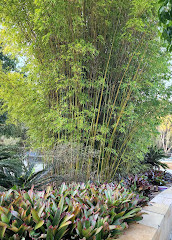 Gold Coast Regional Botanic Gardens