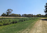 Gold Coast Regional Botanic Gardens