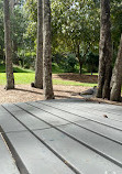 Gold Coast Regional Botanic Gardens