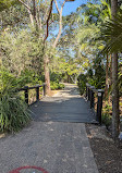 Gold Coast Regional Botanic Gardens