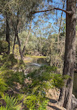 Gold Coast Regional Botanic Gardens