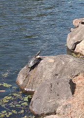 Gold Coast Regional Botanic Gardens