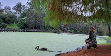 Gold Coast Regional Botanic Gardens