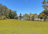 Gold Coast Regional Botanic Gardens