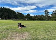 Gold Coast Regional Botanic Gardens