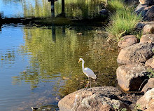 Gold Coast Regional Botanic Gardens