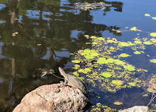 Gold Coast Regional Botanic Gardens