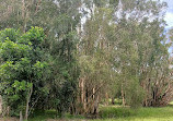 Coombabah Lakelands Conservation Area