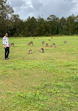 Coombabah Lakelands Conservation Area