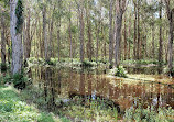 Coombabah Lakelands Conservation Area